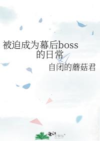 ȳΪĻbossճ