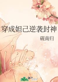 槼Ϯ