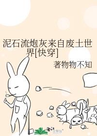 泥石流炮灰来自废土世界[快穿]