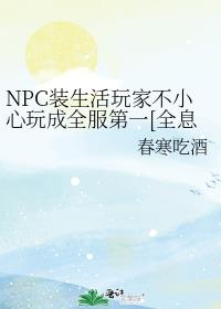NPCװҲСȫһ[ȫϢ]