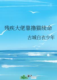 残疾大佬靠撸猫续命