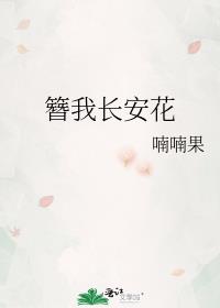 簪我长安花