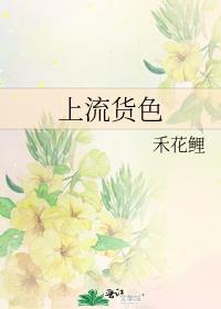 上流货色
