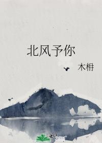 北风予你