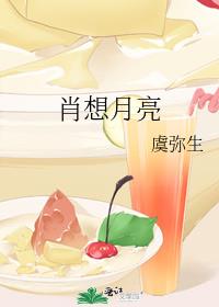 肖想月亮