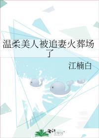 温柔美人被追妻火葬场了