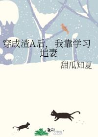穿成渣A后,我靠学习追妻