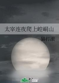 太宰连夜爬上崆峒山