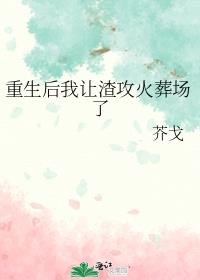 重生后我让渣攻火葬场了