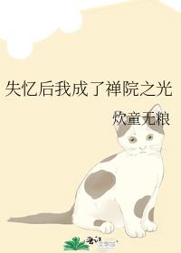 失忆后我成了禅院之光