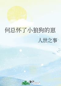 何总怀了小狼狗的崽