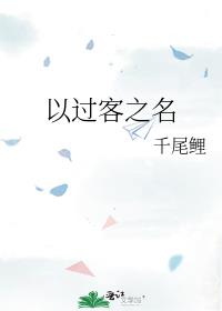 以过客之名