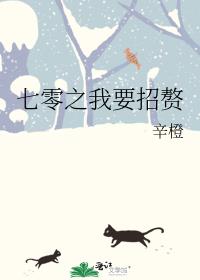 七零之我要招赘