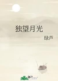 独望月光