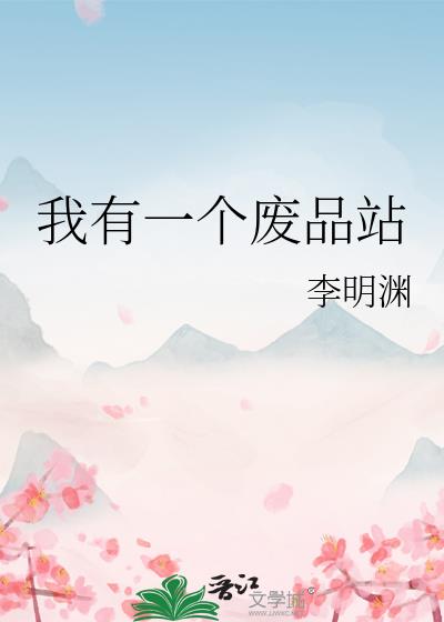 我有一个废品站