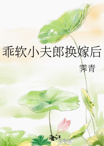 乖软小夫郎换嫁后