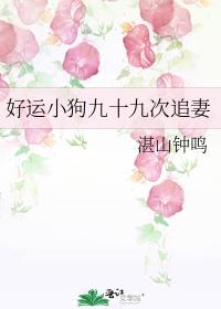 好运小狗九十九次追妻