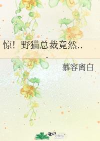 惊!野猫总裁竟然...