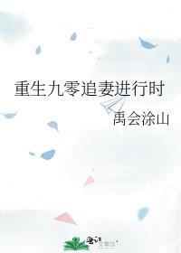重生九零追妻进行时
