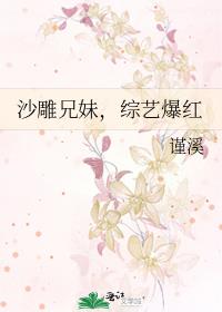 沙雕兄妹,综艺爆红