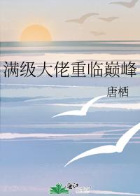 满级大佬重临巅峰