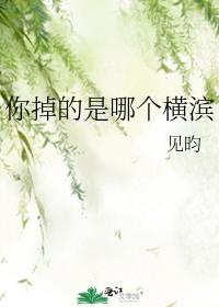 ��������ĸ����