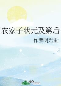 农家子状元及第后