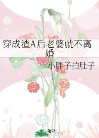 穿成渣A后老婆就不离婚