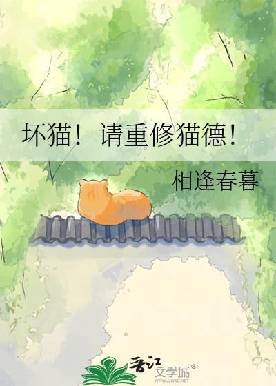 坏猫!请重修猫德!