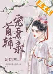 �׸�����¼��������