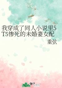 �Ҵ�����ͬ��С˵��5T5������δ����Ů��