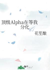 顶级Alpha在等我分化