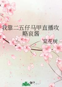 我靠二五仔马甲直播攻略哀酱