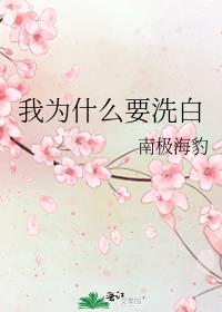我为什么要洗白