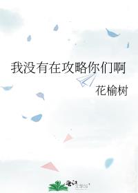我没有在攻略你们啊