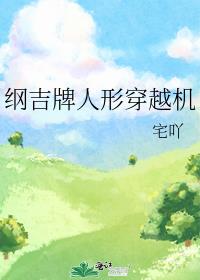 纲吉牌人形穿越机