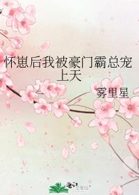 怀崽后我被豪门霸总宠上天